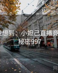 你绝对没想到：小妲己直播竟然如此 · 秘密997