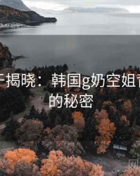 真相终于揭晓：韩国g奶空姐背后隐藏的秘密