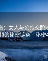 追踪报道：女人与公狍交酡过程高清视频的秘密链条 · 秘密466