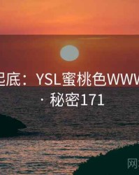 隐情大起底：YSL蜜桃色WWW的内幕 · 秘密171