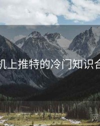 手机上推特的冷门知识合集