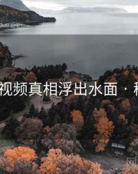向日葵视频真相浮出水面 · 秘密839