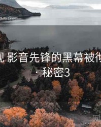 丁冬影视 影音先锋的黑幕被彻底揭开 · 秘密3