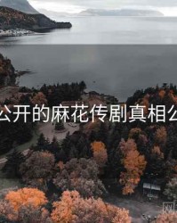未公开的麻花传剧真相公布