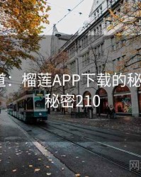 追踪报道：榴莲APP下载的秘密链条 · 秘密210