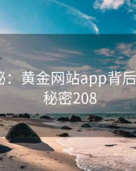 深度揭秘：黄金网站app背后的谜团 · 秘密208