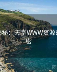 爆炸性揭秘：天堂WWW资源的核心秘密