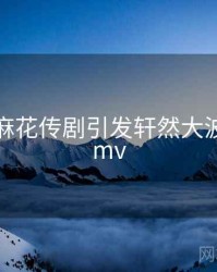 震惊！麻花传剧引发轩然大波，麻花mv