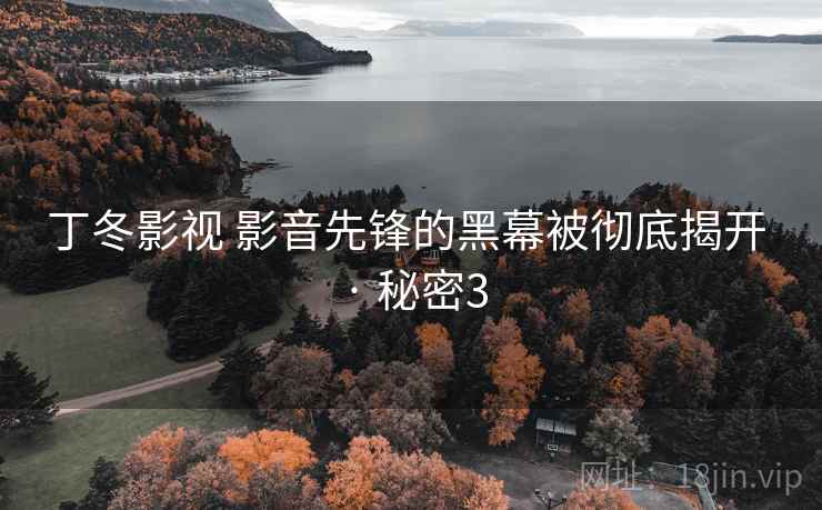 丁冬影视 影音先锋的黑幕被彻底揭开 · 秘密3
