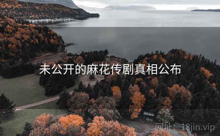 未公开的麻花传剧真相公布